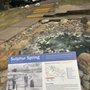 Black Sulphur Spring