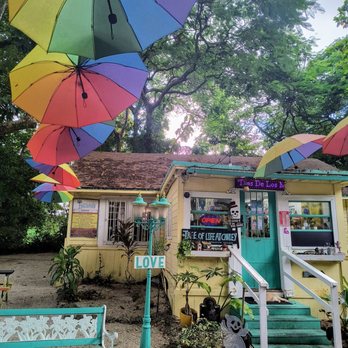 Tree of Life Holistics - Naturopathic/Holistic Near Me - Miami, Florida Tree of Life Holistics - Naturopathic/Holistic Near Me - Miami, Florida