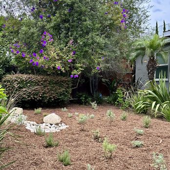 Distinctive Landscaping Services, Inc. - Our new drought tolerant garden with California native plants, a dry creek bed, mulch, and drip irrigation. - Landscaping Near Me Distinctive Landscaping Services, Inc. - Our new drought tolerant garden with California native plants, a dry creek bed, mulch, and drip irrigation. - Landscaping Near Me