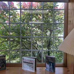 Dorcas Library - Big Windows