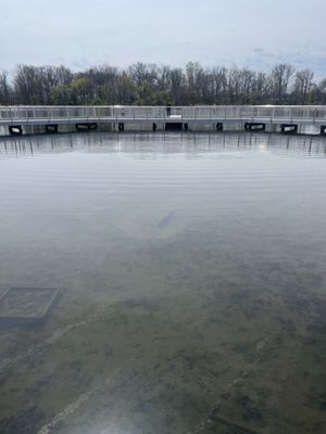 Lake Artemesia Natural Area by null