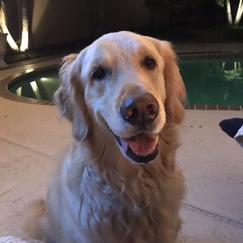 HealthePets Market - Pet Stores Near Me - Jupiter, Florida HealthePets Market - Pet Stores Near Me - Jupiter, Florida