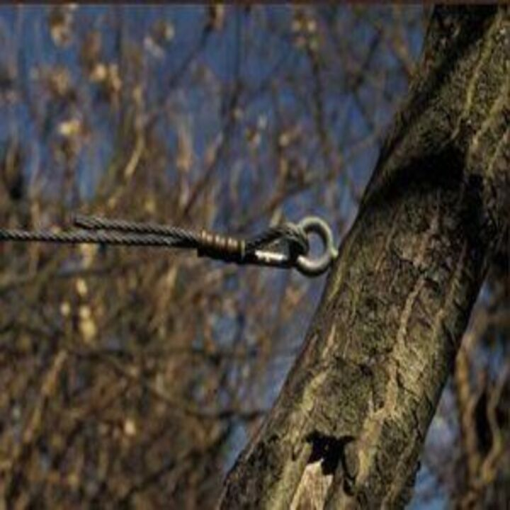 Carl's Tree Service - tree service in West Mifflin, PA