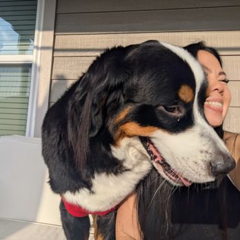 Amina's - Pet Sitting Near Me