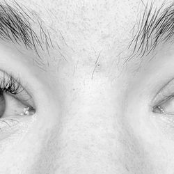 Lashes at Length - Volume