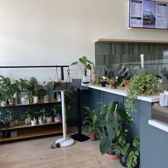 Moongoat Greenhouse - Inside - Coffee Roasteries Near Me - Costa Mesa, California Moongoat Greenhouse - Inside - Coffee Roasteries Near Me - Costa Mesa, California