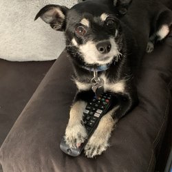 What are we going to watch mommy?