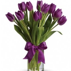 Woolvies Florist - What I wanted ..