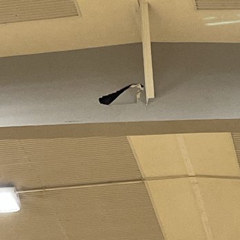 Curtiss Junior High School - Fix this. There is a lot of bad things here - Elementary Schools Near Me - Carson, California Curtiss Junior High School - Fix this. There is a lot of bad things here - Elementary Schools Near Me - Carson, California