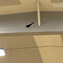 Curtiss Junior High School - Fix this. There is a lot of bad things here