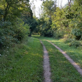 Poplar Creek Forest Preserve - Rare to see this kind of tree path. It's mostly sort of barren - Hiking Near Me - Hoffman Estates, Illinois Poplar Creek Forest Preserve - Rare to see this kind of tree path. It's mostly sort of barren - Hiking Near Me - Hoffman Estates, Illinois