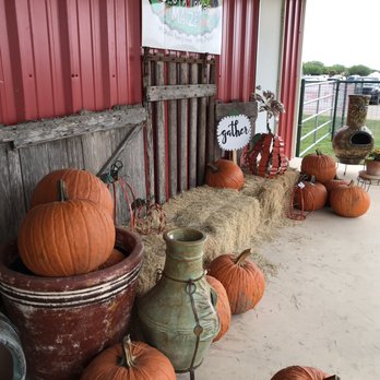 South Texas Maize - Attraction Farms Near Me - Hondo, Texas South Texas Maize - Attraction Farms Near Me - Hondo, Texas