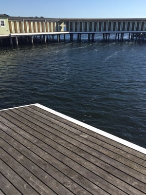 Ribersborgs open-air bath by null