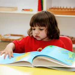 American Montessori - Learning to Read
