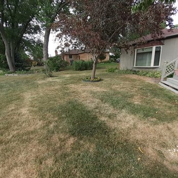 Naturescape - My backyard by my deck - Tree Services Near Me - Schaumburg, Illinois Naturescape - My backyard by my deck - Tree Services Near Me - Schaumburg, Illinois