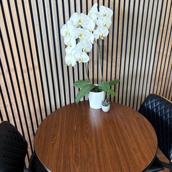 Levant cafe - Cafes Near Me - Anaheim, California Levant cafe - Cafes Near Me - Anaheim, California