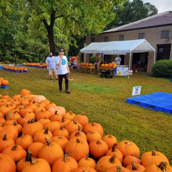 St James UMC Pumpkin Patch