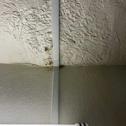 The ceiling above the toilet leaking. Seems to have been fixed before, may be a reoccurring problem. The ceiling above the toilet leaking. Seems to have been fixed before, may be a reoccurring problem.