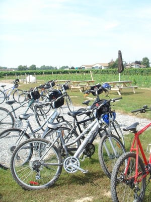 Zoom Leisure Bikes: Bicycle, E-bike Rentals and Wine Tours in Niagara by null