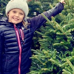 Treeland Christmas Trees - Kids trees too!