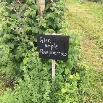 Hungersheath Farm - Farms Near Me - Loggerheads, STS