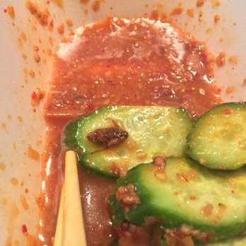Tiger Den - =( found a cockroach in the cucumber salad. - Ramen Near Me - Houston, Texas Tiger Den - =( found a cockroach in the cucumber salad. - Ramen Near Me - Houston, Texas