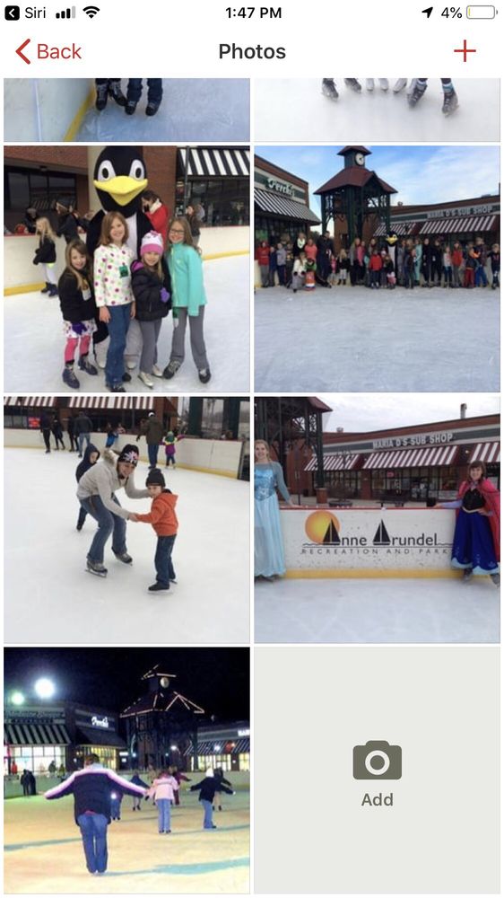 GLEN BURNIE OUTDOOR ICE RINK 19 Photos Skating Rinks 103C Crain