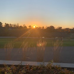 Owera Vineyards - Sunset