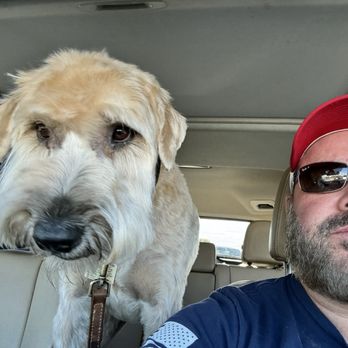 Fancy Paws Pet Salon - Picking up Yogi from fancy paws - Pet Groomers Near Me - Gilbert, Arizona