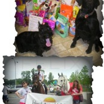 Island Animal Clinic - Veterinarians Near Me - Grosse Ile, Michigan Island Animal Clinic - Veterinarians Near Me - Grosse Ile, Michigan