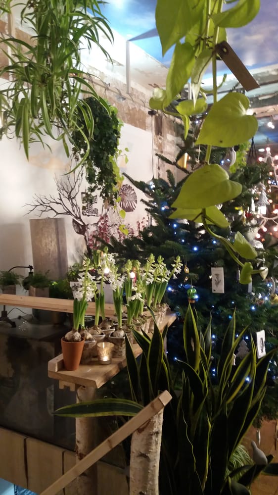 LES MAUVAISES GRAINES 203 bis bd SaintGermain, Paris, France