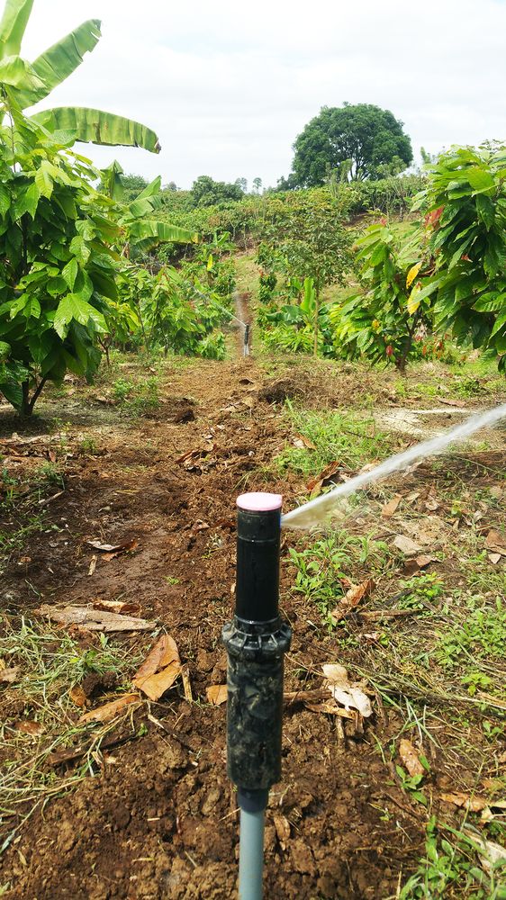 Slide of Imperial Irrigation & Lighting