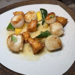 Scallops