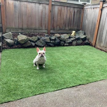 Top Dog Turf - Artificial Turf Near Me - Lakewood, Washington Top Dog Turf - Artificial Turf Near Me - Lakewood, Washington