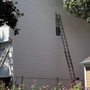 Photo of Georgia Wildlife Removal