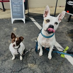 Some more loving pups