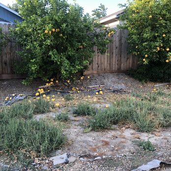 Vizcay Landscaping - Backyard prior to work - Landscaping Near Me Vizcay Landscaping - Backyard prior to work - Landscaping Near Me