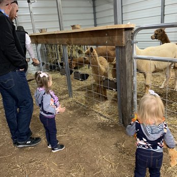 Shaka Alpaca Farm - Petting Zoos Near Me - Murphy, North Carolina