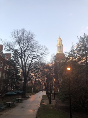 Brooklyn College by null