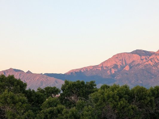 Nativo Lodge Hotel Albuquerque by null