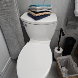Ferguson Plumbing Supply - This is the toilet