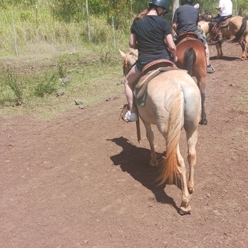 Pālehua Trail Rides - Horseback Riding Near Me - Kapolei, Hawaii Pālehua Trail Rides - Horseback Riding Near Me - Kapolei, Hawaii