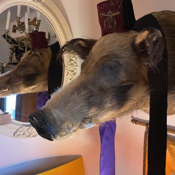 Mudlark Oddities - Antiques Near Me - Seattle, Washington