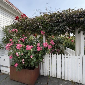 Gamle Stavanger - Landmarks & Historical Buildings Near Me - Stavanger, 11