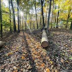Heritage Park - Hiking trail