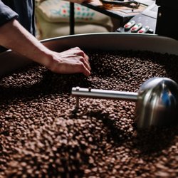 Latitude 23.5 Coffee & Tea