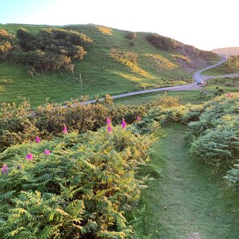 Fairy Glen - Trail back to the road. - Landmarks & Historical Buildings Near Me