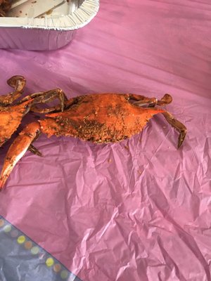 Big Earl's Crabs by null
