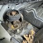 Photo of Dolans Auto