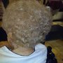 Hair Handlers